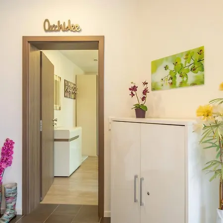 Orchidee * Sipplingen