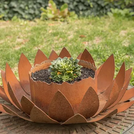 Apartmán Orchidee *