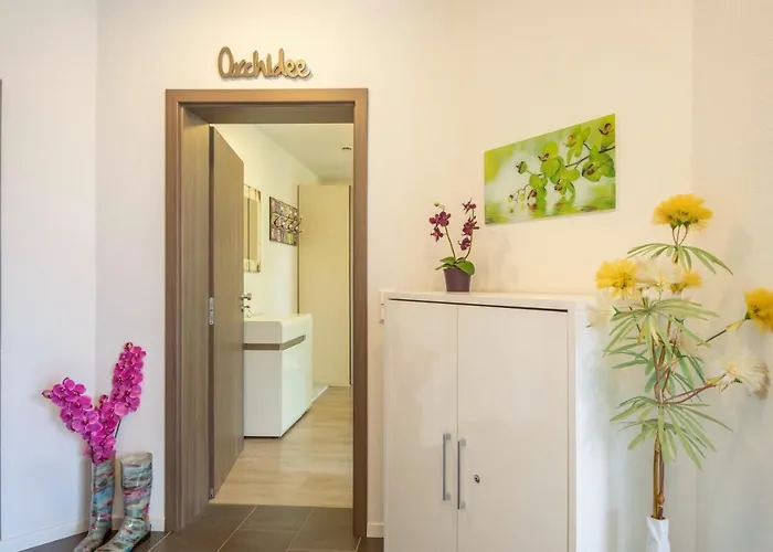 Orchidee * Sipplingen